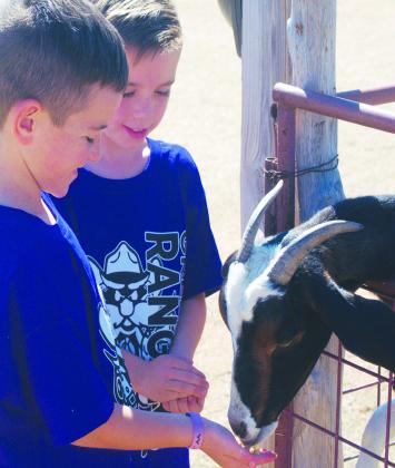 Second graders Traycen Hollums and Kamden Brooks feed goats during a recent field trip to Fiddlesticks Farms. The sevenacre farm owned by Greenwood couple Jessica &amp; Matt Norton is having a successful 18th season. Once again, attracting families and school field trips from across the Permian Basin. For families who haven’t experienced the farm and its more than 25 attractions this year — hurry, because the season ends Nov. 15.