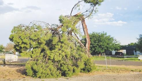 Midland County asks residents to report storm damage
