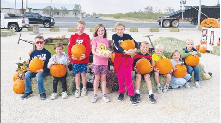 Greenwood pumpkin patch to be bigger and better this year