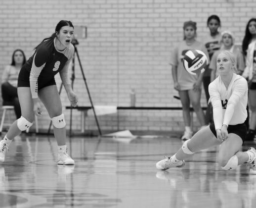 Greenwood volleyball