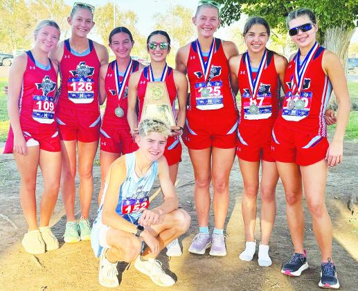 Greenwood's Barron advances to state in cross country 