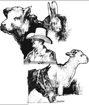 Alt Text for Image