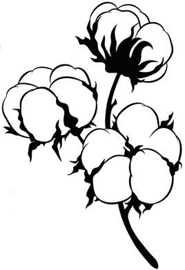 COTTON MARKET