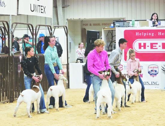 The Midland County Stock Show kicked off this weeks with the lamb and goat shows on Monday. The awards sale is scheduled for Saturday at 2:10 p.m.