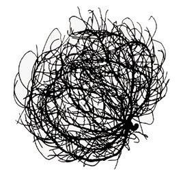 Tumbleweed Smith
