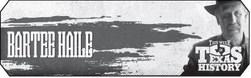 Alt Text for Image