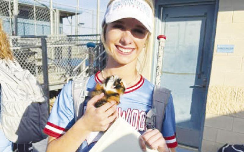 Greenwood softball split week with big wins and memorable milestones