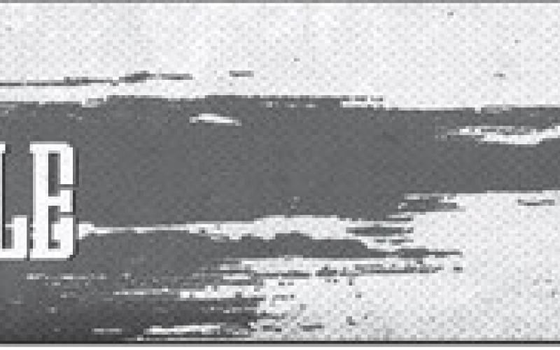 Alt Text for Image