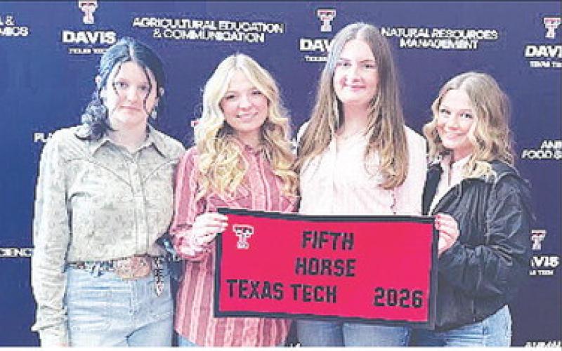 Horse Judging Team