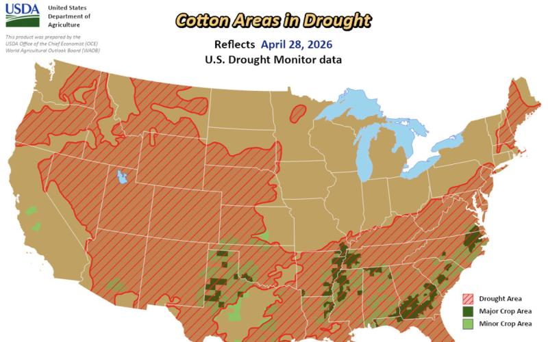 Cotton QuickTake