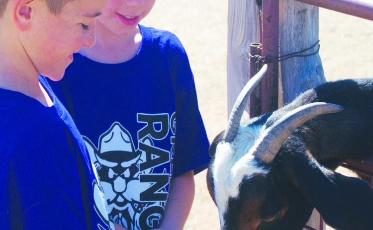 Second graders Traycen Hollums and Kamden Brooks feed goats during a recent field trip to Fiddlesticks Farms. The sevenacre farm owned by Greenwood couple Jessica &amp; Matt Norton is having a successful 18th season. Once again, attracting families and school field trips from across the Permian Basin. For families who haven’t experienced the farm and its more than 25 attractions this year — hurry, because the season ends Nov. 15.