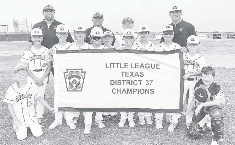 Greenwood goes undefeated in tournament, wins district championship