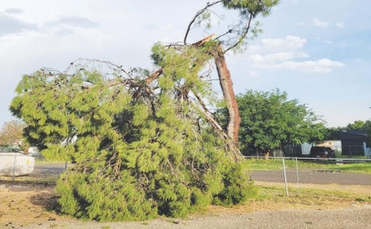 Midland County asks residents to report storm damage