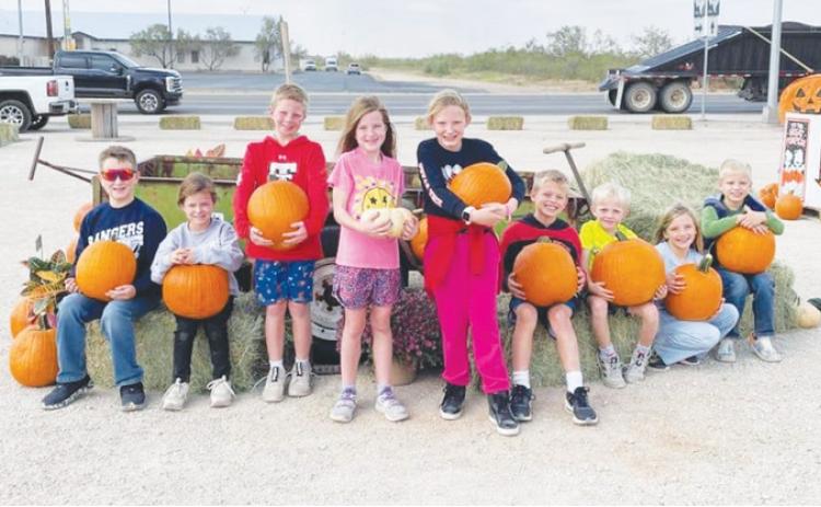 Greenwood pumpkin patch to be bigger and better this year