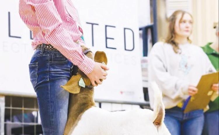 Greenwood students rack up wins at Midland County Livestock Show