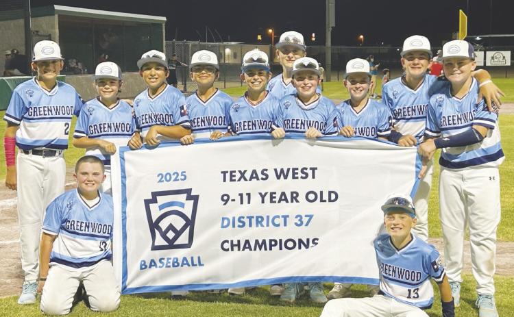 Greenwood 11U win District 37 Tournament