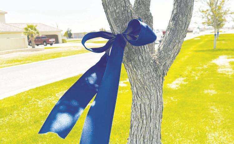 Blue Ribbons have been hung all over Greenwood in remembrance of Grant Michael Ausley