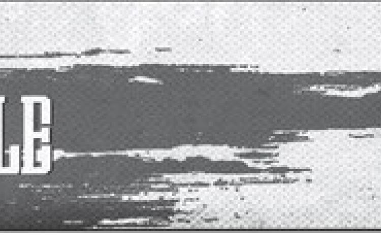 Alt Text for Image