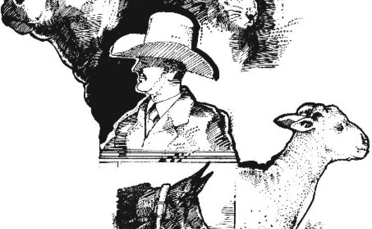 Alt Text for Image