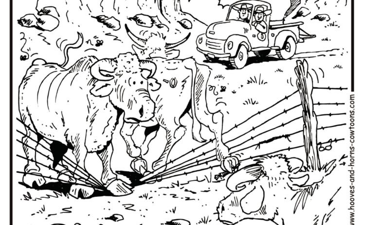 Western Tradition