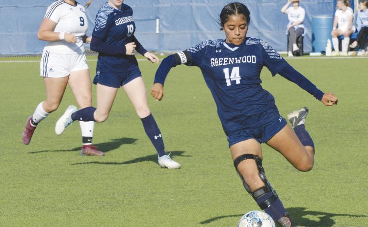 Devanie Vasquez (14) had a great game for Greenwood in the Area round against Amarillo West Plains including making the game winning penalty kick.