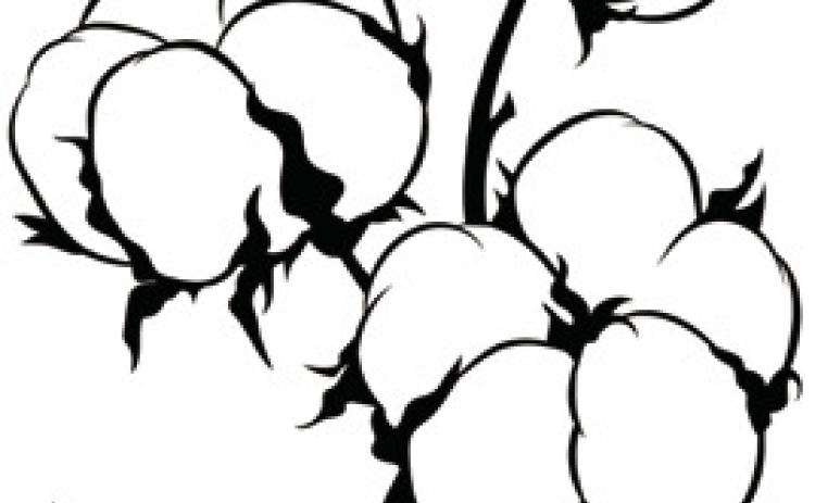 COTTON MARKET