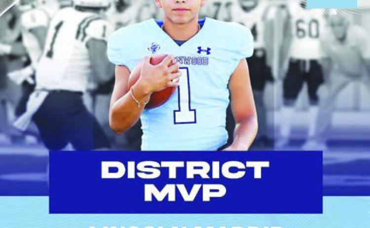 District 1-4A Division II - All District Teams