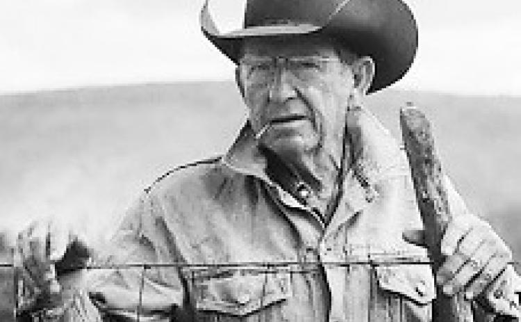 Ray Fitzgerald