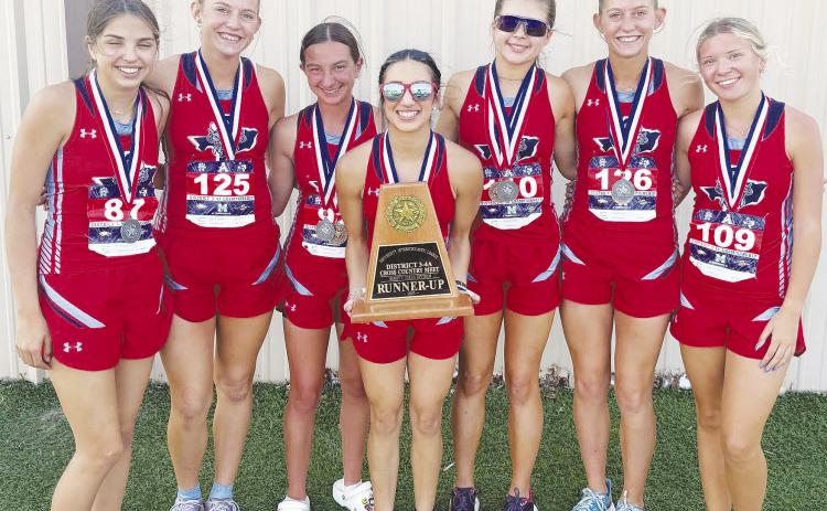 Greenwood girls qualify for regionals; Ledford advances for boys at district meet