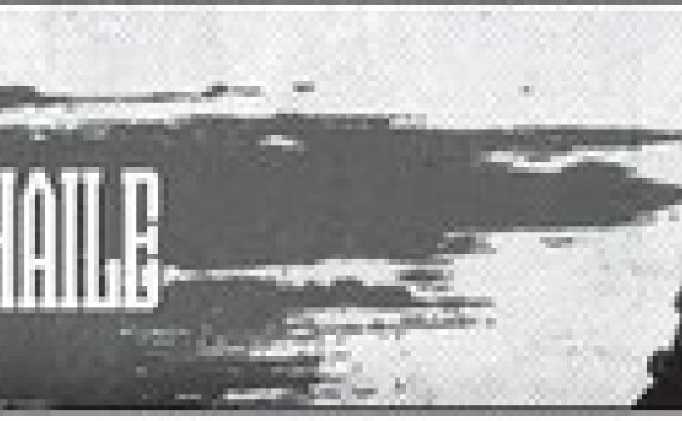 Alt Text for Image