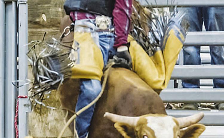 Midland County Fair returns with bull riding honoring Greenwood grad Chase Quine